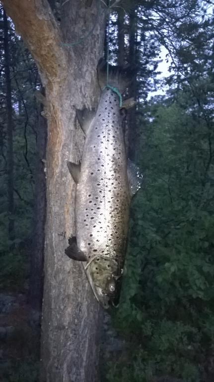 Inari Juutua Villa Екстериор снимка